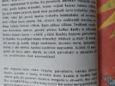 E. Mieželaitis - mergaitės Dainos Dienoraštis . - nuotraukos Nr. 13