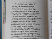E. Mieželaitis - mergaitės Dainos Dienoraštis . - nuotraukos Nr. 16