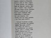 E. Mieželaitis - mergaitės Dainos Dienoraštis . - nuotraukos Nr. 21