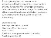 Dušo galva - nuotraukos Nr. 2
