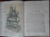 1716. Комнатное Садоводство Уход За Комнатными Рас - nuotraukos Nr. 6