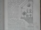 1716. Комнатное Садоводство Уход За Комнатными Рас - nuotraukos Nr. 7