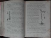 1716. Комнатное Садоводство Уход За Комнатными Рас - nuotraukos Nr. 9