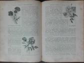 1716. Комнатное Садоводство Уход За Комнатными Рас - nuotraukos Nr. 14