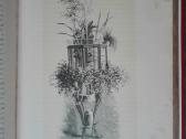 1716. Комнатное Садоводство Уход За Комнатными Рас - nuotraukos Nr. 19