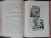 1716. Комнатное Садоводство Уход За Комнатными Рас - nuotraukos Nr. 20