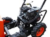 Pigiausiai Motorinis Karutis karučiai - nuotraukos Nr. 16