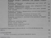 1724. Почвы Лобова Е. В. - nuotraukos Nr. 14
