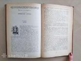Moris Driun romanas Prancuzijos Vilke rusu kalba - nuotraukos Nr. 4