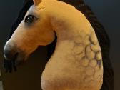 Hobby Horsing Arkliukai - nuotraukos Nr. 6