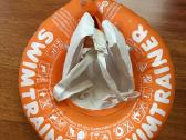 Swimtrainer mokomasis plaukimo ratas Classic