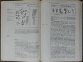 1727. Ботаника С Основами Общей Биологии Журбин А. - nuotraukos Nr. 7