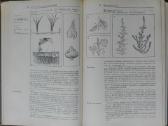 1727. Ботаника С Основами Общей Биологии Журбин А. - nuotraukos Nr. 8