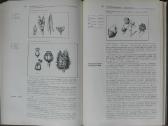 1727. Ботаника С Основами Общей Биологии Журбин А. - nuotraukos Nr. 10