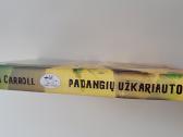Knyga Emma Carroll Padangių užkariautojai - nuotraukos Nr. 3