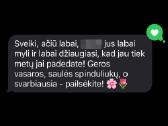 Anglų Kalbos Korepetitoriai Kaune, Vbe vertintojai - nuotraukos Nr. 16