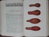 1732. Народы Австралии И Океании - nuotraukos Nr. 9