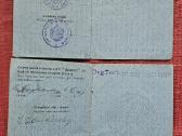 1915 - 18 m. pasai. - nuotraukos Nr. 9