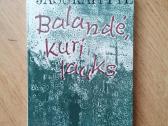 Daug gerų knygu - nuotraukos Nr. 20