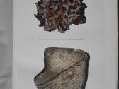 1735. Исторiя Земли Неймайра М. antikvarinė-kolekc - nuotraukos Nr. 6