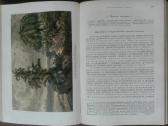 1735. Исторiя Земли Неймайра М. antikvarinė-kolekc - nuotraukos Nr. 21