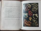 1735. Исторiя Земли Неймайра М. antikvarinė-kolekc - nuotraukos Nr. 26