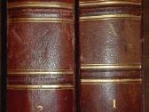 1736. Народовђдђнiе ф. Ратцелч