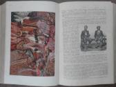 1736. Народовђдђнiе ф. Ратцелч - nuotraukos Nr. 14