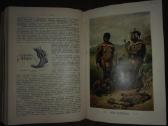 1736. Народовђдђнiе ф. Ратцелч - nuotraukos Nr. 23