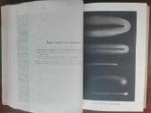 1737. Мiрозданiе М. Вильгельм Мейер - nuotraukos Nr. 13