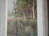 1739. Жизнь Растенiй А. Кернере фонъ-мариланунъ - nuotraukos Nr. 8