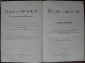 1739. Жизнь Растенiй А. Кернере фонъ-мариланунъ - nuotraukos Nr. 12