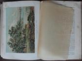 1739. Жизнь Растенiй А. Кернере фонъ-мариланунъ - nuotraukos Nr. 18