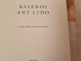 Kalėdos ant ledo - nuotraukos Nr. 3