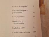 Kalėdos ant ledo - nuotraukos Nr. 4