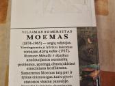 Mėnulis ir skatikas - nuotraukos Nr. 3
