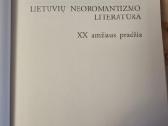 Lietuvių neoromantizmo literatūra - nuotraukos Nr. 2