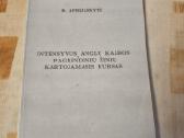 Intensyvus anglų kalbos kartojamasis kursas