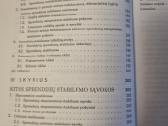 Diferencinių lygčių sprendinių stabilumas - nuotraukos Nr. 6