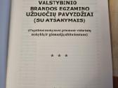 Matematikos valstybinio brandos egzamino užduotys - nuotraukos Nr. 2