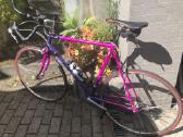 Bianchi,columbus,campagnolo,wheeler - nuotraukos Nr. 2