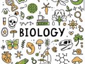 Biologijos korepetitorė Kaunas ir nuotoliniu būdu
