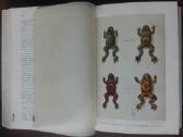 1740. Происхожденiе Животнаго Мiра Вильгедьма Гаак - nuotraukos Nr. 9