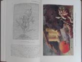 1744. Жизнь Животных По А. Э. Бремеру - nuotraukos Nr. 5