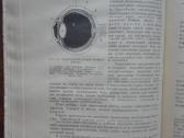 1747. Дошкольный Возраст Е. А. Аркин - nuotraukos Nr. 6