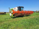 Claas Lexion 770tt guoliai, diržai pakeisti - nuotraukos Nr. 6