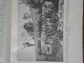 1760. Географiя Растенiй П. Гребнеръ - nuotraukos Nr. 2