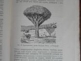 1760. Географiя Растенiй П. Гребнеръ - nuotraukos Nr. 7