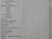 1762. Europos Geografija A. Klimas - nuotraukos Nr. 3
