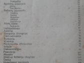 1762. Europos Geografija A. Klimas - nuotraukos Nr. 14